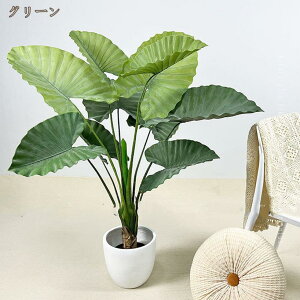 ԃCeA ϗt tFCN lHϗtA͂Ȃ  ~ ϗtA A { Q쏜sv A  _ k 蕨 v[g p   