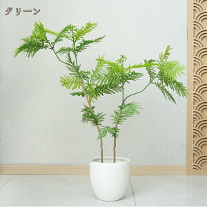 tFCNO[ lH ϗtA tFCN ^ a t  CeA G b炸 sv  ItBX z[ ze fR[V Mtg   Vzj p