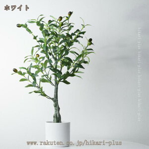 ϗtA tFCN  CeA O[ 70cm  tFCNO[  ͂Ȃ CeAO[ I A CeAG  ^ fR[V z[ ItBX x