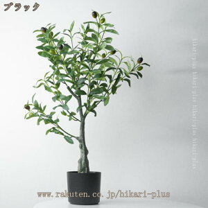 ϗtA tFCN  CeA O[ 70cm  tFCNO[  ͂Ȃ CeAO[ I A CeAG  ^ fR[V z[ ItBX x