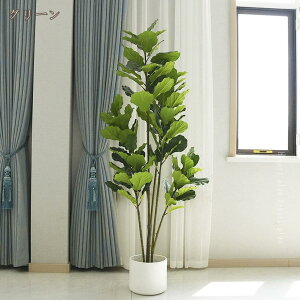 ϗtA tFCNO[ ^ A  t v[g CeA lHϗtA p  rO ItBX ze sv ͂Ȃ ꎺ  ډB ̓