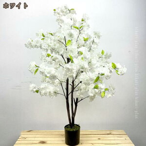  lHϗtA tFCNO[ ^ lHO[ ̖ A LȎ}t  ΐF̐A  A ϖՐ  { ~ v[g z[ ItBX Q