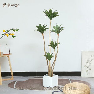 tFCNO[ ^ tA tFCN lHtA INS  sv ȒP Vv  CeA lH A t j ̓ ̓ hV̓ ItBX z