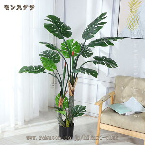 lHϗtA  ^  lHA  GgX  z[ tFCNO[ j JXj ̓ _ԂɍœK bsv ₷ O  rO  I