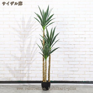 lHϗtA ϗtA ^ tFCNO[ CeA ϗt A  sv  ֏肨 u^ ͂Ȃ X /O z[K[f  k a