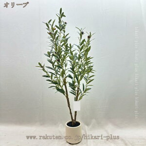 tFCNO[ lHϗtA lH ϗtA  ^ ϗt A A  ItBX 뉀 Ȏ CeA Be p Xg p ȒP s