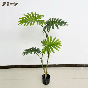 tFCNO[ lHϗtA CeAO[ A ^Ηt { ϗt ϗtA ͂ȂO[ k ins  CeA EFfBO  rO It