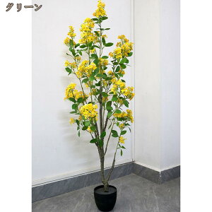 tFCNO[ lHA 130cm ^ lHϗtA 傫 TCY  CeA Mtg Vzj JXj zj hV̓ ̓ ̓ a  p[eB[ v