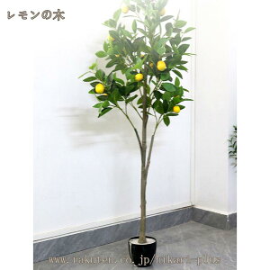 tFCNO[ ^ ϗtA 150cm A  t  CeA 傫 A[g ͂Ȃ sv ȒP  j AOArO[AQA