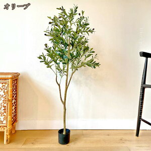 lHϗtA tFCNϗtA Op AȊƗt eiXsv sv Q΍sv JƏj ze  뉀  CeAO[ ^   j