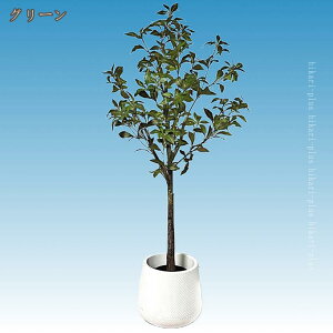 ԃO[ t 傫TCY tFCNO[ Ύ A lHϗtA ^ CeAO[ lHt { ϗtA ͂Ȃ bsv Cxg a LO