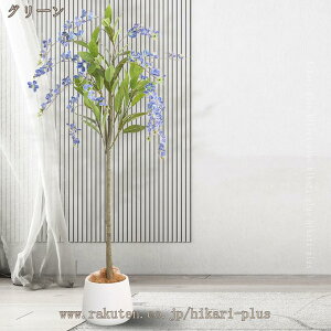 tFCNO[ ϗt A  CeAO[ A { ^ ϗtA lHA Q쏜sv k ins  rO[  p[eB[ Cxg 