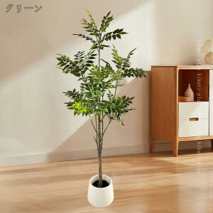 AtFCNO[ ϗtA ^ 傫 ^A 蕨 AWA e@ X Op eiXsv sv Q΍sv JƏj ze  뉀  lH