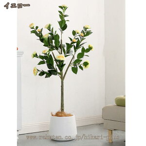 tFCNO[ ւ̉ t A lHt ^ ͂ȂO[ lHϗtA { ϗtA lHA ϗt Q쏜sv Be  a ֏  