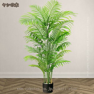 ^tFCNA ͑O[A k ins  CeA A EFfBO K[fp { ϗt ϗtA ͂Ȃ  rO  Q ItBX bN 