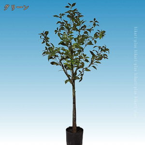 tFCNO[ ^ A lHϗtA CeAO[ ϗt { ȒPb炸 ͂Ȃ tFCNt lH i` X    gC X ԉ { H