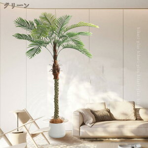 lHϗtA  A tFCNO[ CeA  O[ fR[V ͂Ȃ  {   G sv bsv  Vzj ̓ 