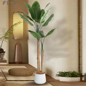 lHϗtA oii̗t ^ t tFCNO[ {̐lHA lH CeAO[ ϗt A bȂ ͂Ȃ   ItBX j  