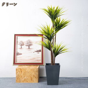 ϗtA tFCNO[ ^ 150cm CeA  v[gp  GgX  z[  lH~ j JXj ̓ bsv ₷  A