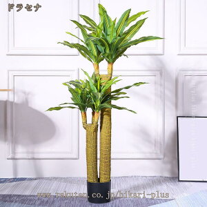 CeAO[ ϗtA lHϗt tFCNO[ 130cm  lHϗtA Vv  lH A  ItBX  rO CeA {̐lH