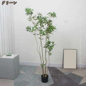 lHϗtA tFCNO[ lHO[ lHA ~͐A V~[V sv ͂Ȃ ^[A ϏܗptFCNA Vzj CeA |bgt  r