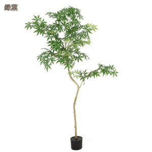 tFCNO[ ϗA lHϗt ^ ϗtA p  ͂Ȃ Vv ItBX  CeA  j ̓ Vzj z[  뉀 ze [ X X 