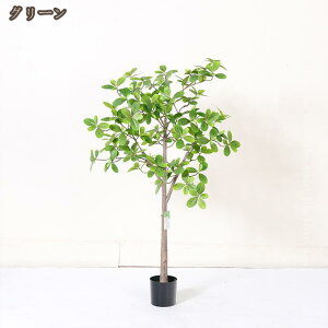 lHϗtA a a tFCNO[ CeA  b炸  sv ͂Ȃ lH tFCNA p h  A t t  Mtg v[g l