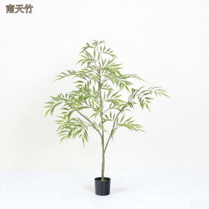 ϗtA tFCN  tFCNO[ lHϗtA ^  ze CeA A  j    rO  p Vv  Ύ bȂ 