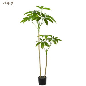 tFCNO[ ϗt A J^ CeAO[ A { ^ ϗtA lHA Q쏜sv k ins  rO[   l炵 