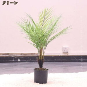 ԃCeA ͂Ȃ ϗtA A { ȒPb炸 k ins    X iX K[f u 蕨 ʐ^Be sv z[ x