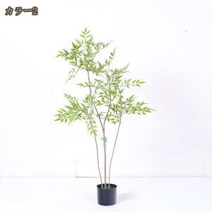 tFCNO[ ϗtA A 傫 tFCN lH  ie CeA lHϗtA Vv { p [g[N sv rO Lb` gC