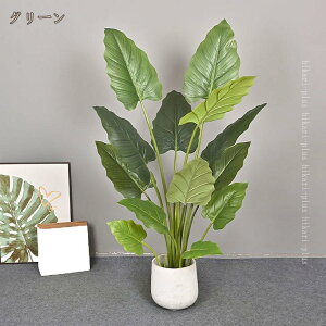 tFCNO[ ^  O lHϗtA  { A k  _ JtF CeA Ƌ V l炵 A[gO[  JXj X ItB