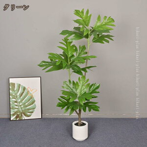 ϗtA lHϗtA   tFCNO[ A k  _ fUC Vv V l炵 A tFCN  }V [ Q rO _Cj