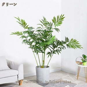 ϗtA tFCN ^ CeA A  tFCNO[ lHϗtA 傫 蕨  l炵 Mtg v[g X ItBX lH Ƌ Vzj zj