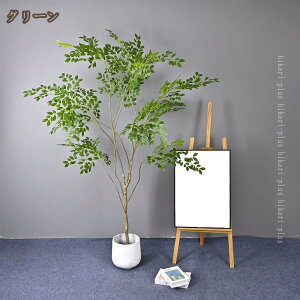 ϗtA tFCN ^  CeA A tFCNO[ lHϗtA 蕨 A 傫 傫 {  킢 v[g a a a_ ze r