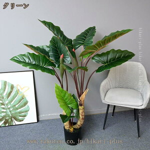 tFCNO[ a lHϗtA CeAO[ A ^Ηt { ϗt ϗtA ͂ȂO[ k ins  CeA EFfBO ItBX 