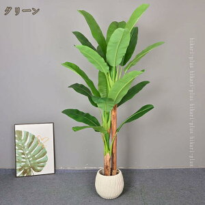 tFCNO[ ^ ^ lHϗtA loii̖ Aȑ ȃCeA ϗtA p 傫ϗtA lHA {̂悤 ^ϗtA JXj Vzj