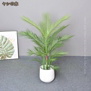 AA lHAȊϗtA tFCNA  ƒ _  Q I  tFCNO[ lH~ CeA ItBX fXN Gߏ Be fR[V u p