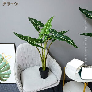 ~ tFCNO[ ϗtA lH  傫 A C~e[V CeAO[  a a a_ ͗lւ   k_ Vv X fBXvC J