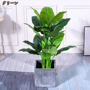 tFCNO[ 100cm ϗtA A lHϗtA ^  rO p[e[V CeA {     SݓX   L sv Q̐S