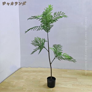 lHϗtA tFCN tFCNO[ ^ INS  k CeA  O ItBX ݑ tFCNA sv ͂Ȃ ~͐A p Bep  A JXj J