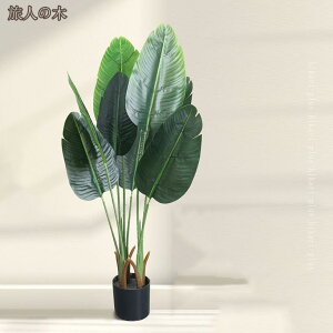 tFCNO[ A ^ lH ϗtA A CeA O[   rO ItBX Ɩp   ҍ   K  sv   oRj[