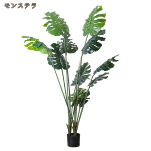 AlHϗtA tFCN ^  k CeA  O ItBX ݑ tFCNA sv ͂Ȃ ~͐A p Bep  A JXj JƏj z 