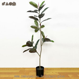 777�~OFF�N�[�|�� �t�F�C�N�O���[�� �ϗt�A�� �t�F�C�N �l�H�ϗt�A�� ��^ ���� �z�e�� �C���e���A ���A�� ������� ���j�� �� �� ���� ���� ���r���O �I�t�B�X ���� �V���v�� ���A�� �v���[��