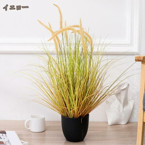 tFCNO[  ~j ϗtA ^ lHϗtA    킢  CeA e[u fXN v[g Mtg rO A j ̓ i` V