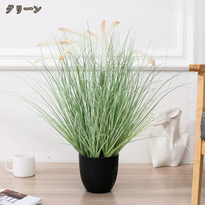 tFCNO[  ~j ϗtA ^ lHϗtA    킢  CeA e[u fXN v[g Mtg rO A j ̓ i` V