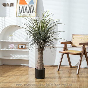 ^ tFCNO[  A CeAO[ lHϗtA  lH ϗtA CeA  Vzj JXj Mtg {  傫 A |bg 