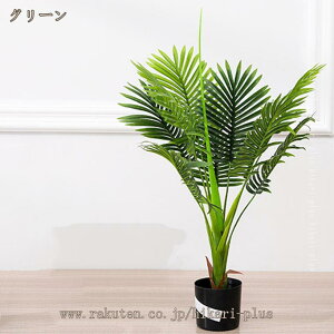 lHϗtA ̓ O tFCNO[ A 傫 ϗtA ̓  ^ tFCN O[ CeA  A[gO[  JXj X ItBX Vz  i