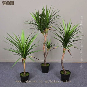 tFCNO[ lHϗtA ^ϗt Ύ CeA AƒA悯oRj[AAIȑAz̃MtgɍœK ItBX z[  lHA ͂Ȃ fR