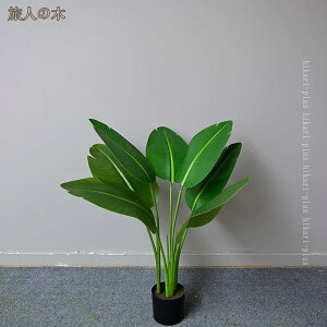 lHϗtA tFCNO[  { t  CeA X ItBX  JX Vzjɂ p  rO fBXvC tFCNA A Q L